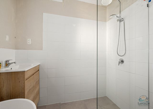 Walk-in shower with glass screen